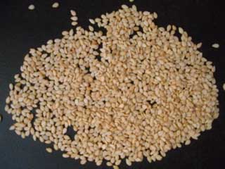 SESAME SEEDS